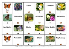 Domino-Schmetterlinge.pdf